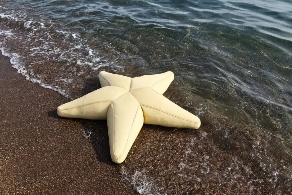 Starfish